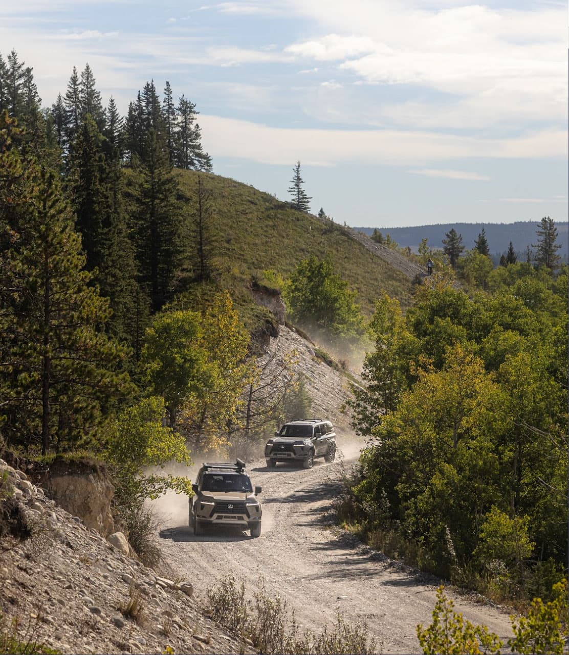 Chasing the Northern Lights - Image 4