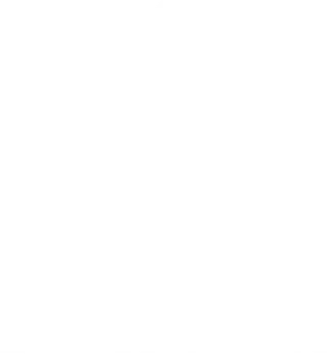 Burton - Logo - White