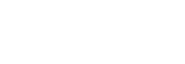 FEVO - Logo - White