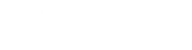 Toyota - Logo - White