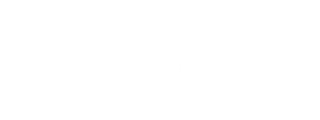 Verizon - Logo - White